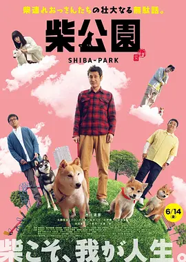 午夜视频高清在线aaa